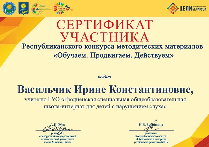 сертификат участника Васильчик